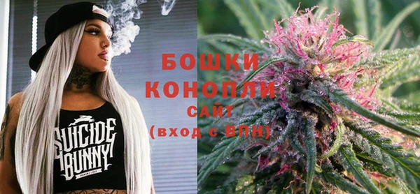 прущий лед Нея