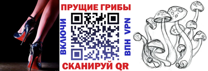 Купить  Ардатов  Псилоцибиновые грибы MAGIC MUSHROOMS 